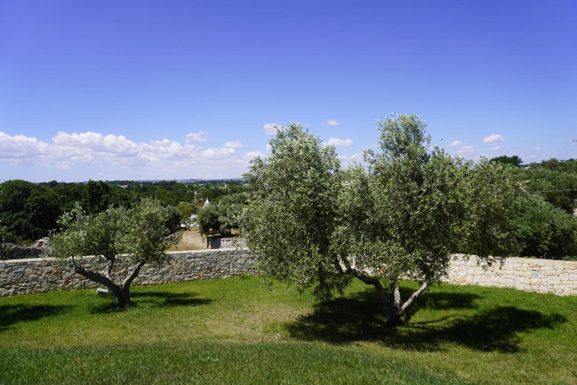 Villa Trullo Amico Cisternino Exterior foto